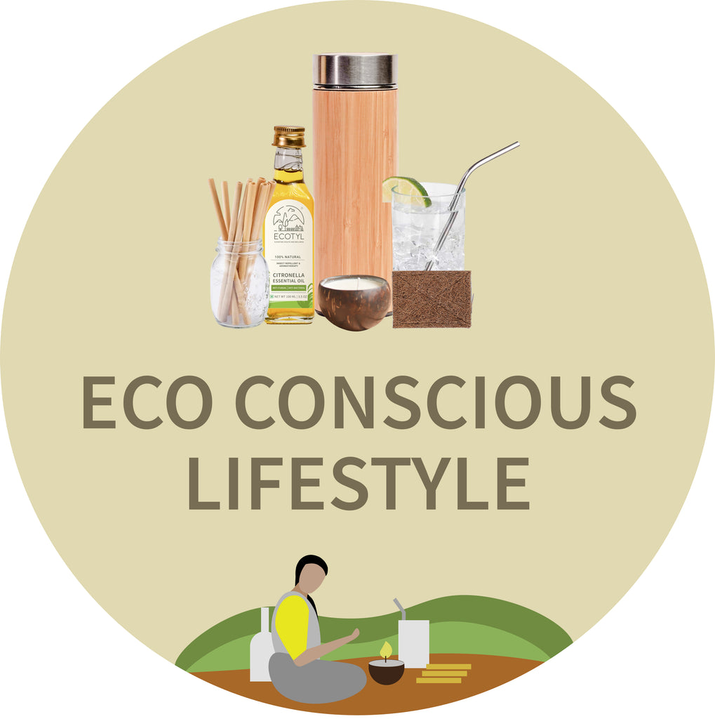 ecofriendly products for daily use